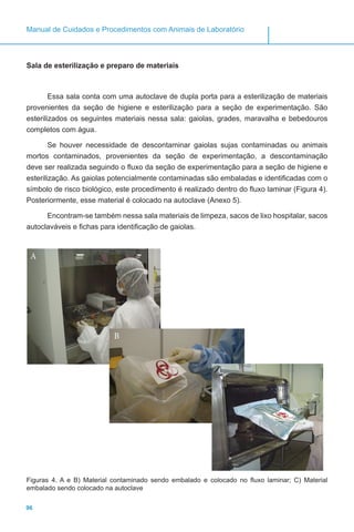 96
Manual de Cuidados e Procedimentos com Animais de Laboratório
Sala de esterilização e preparo de materiais
Essa sala conta com uma autoclave de dupla porta para a esterilização de materiais
provenientes da seção de higiene e esterilização para a seção de experimentação. São
esterilizados os seguintes materiais nessa sala: gaiolas, grades, maravalha e bebedouros
completos com água.
Se houver necessidade de descontaminar gaiolas sujas contaminadas ou animais
mortos contaminados, provenientes da seção de experimentação, a descontaminação
deve ser realizada seguindo o fluxo da seção de experimentação para a seção de higiene e
esterilização. As gaiolas potencialmente contaminadas são embaladas e identificadas com o
símbolo de risco biológico, este procedimento é realizado dentro do fluxo laminar (Figura 4).
Posteriormente, esse material é colocado na autoclave (Anexo 5).
Encontram-se também nessa sala materiais de limpeza, sacos de lixo hospitalar, sacos
autoclaváveis e fichas para identificação de gaiolas.
A
B
C
Figuras 4. A e B) Material contaminado sendo embalado e colocado no fluxo laminar; C) Material
embalado sendo colocado na autoclave
 