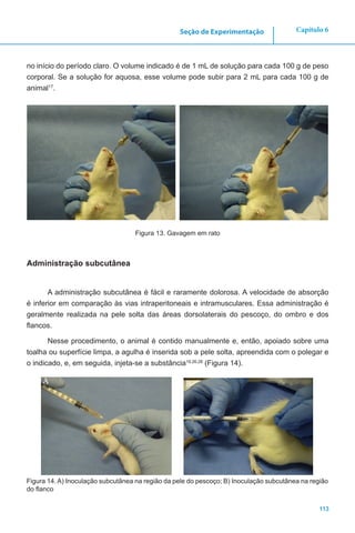 113
Capítulo 6Seção de Experimentação
no início do período claro. O volume indicado é de 1 mL de solução para cada 100 g de peso
corporal. Se a solução for aquosa, esse volume pode subir para 2 mL para cada 100 g de
animal17
.
Figura 13. Gavagem em rato
Administração subcutânea
A administração subcutânea é fácil e raramente dolorosa. A velocidade de absorção
é inferior em comparação às vias intraperitoneais e intramusculares. Essa administração é
geralmente realizada na pele solta das áreas dorsolaterais do pescoço, do ombro e dos
flancos.
Nesse procedimento, o animal é contido manualmente e, então, apoiado sobre uma
toalha ou superfície limpa, a agulha é inserida sob a pele solta, apreendida com o polegar e
o indicado, e, em seguida, injeta-se a substância19,26,28
(Figura 14).
A B
Figura 14. A) Inoculação subcutânea na região da pele do pescoço; B) Inoculação subcutânea na região
do flanco
 