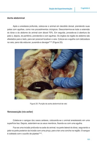 123
Capítulo 6Seção de Experimentação
Aorta abdominal
Após a anestesia profunda, coloca-se o animal em decúbito dorsal, prendendo suas
patas com agulhas, como nos procedimentos cirúrgicos. Descontamina-se toda a extensão
do tórax e do abdome do animal com álcool 70%. Em seguida, procede-se à abertura da
pele e, depois, do peritônio, prendendo-o com agulhas. Os órgãos da região do abdome são
afastados para o lado, para ser possível localizar a veia. Coloca-se a agulha com delicadeza
na veia, para não estourar, puxando-a devagar19,20
(Figura 25).
Figura 25. Punção da aorta abdominal de rato
Venossecção (via axilar)
Coleta-se o sangue dos vasos axilares, colocando-se o animal anestesiado em uma
superfície lisa. Depois, estendem-se os seus membros, fixando-os com uma agulha.
Faz-se uma incisão profunda na axila do animal, na parte lateral do tórax, segurando a
pele na parte posterior da incisão com uma pinça, para criar uma concha na região. O sangue
é coletado com o auxílio de pipetas19,20
.
 
