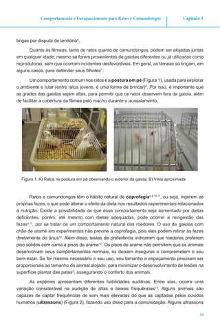17
Capítulo 3Comportamento e Enriquecimento para Ratos e Camundongos
brigas por disputa de território4
.
Quanto às fêmeas, tanto de ratos quanto de camundongos, podem ser alojadas juntas
em qualquer idade, mesmo se forem provenientes de gaiolas diferentes ou já utilizadas como
reprodutoras, sem que ocorram incidentes desfavoráveis. Em geral, as fêmeas só brigam, em
alguns casos, para defender seus filhotes7
.
Um comportamento comum nos ratos é a postura em pé (Figura 1), usada para explorar
o ambiente e lutar (entre ratos jovens, é uma forma de brincar)8
. Por isso, é importante que
as grades das gaiolas sejam altas, para permitir que os ratos observem fora da gaiola, além
de facilitar a cobertura da fêmea pelo macho durante o acasalamento.
A B
Figura 1. A) Ratos na postura em pé observando o exterior da gaiola; B) Vista aproximada
Ratos e camundongos têm o hábito natural de coprofagia4,9,10,11
, ou seja, ingerem as
próprias fezes, o que pode alterar o efeito da dieta nos resultados experimentais relacionados
à nutrição. Existe a possibilidade de que esse comportamento seja aumentado por dietas
deficientes, porém, até mesmo com dietas adequadas, pode ocorrer a reingestão das
fezes4,11
, por se tratar de um comportamento natural dos roedores. O uso de gaiolas com
chão de arame em experimentos não previne a coprofagia, pois eles podem retirar as fezes
diretamente do ânus10
. Além disso, testes de preferência indicaram que roedores preferem
piso sólidos com cama a pisos de arame12
. Os pisos de arame não permitem que os animais
desenvolvam seus comportamentos normais, os deixam inseguros e comprometem o seu
bem-estar. Se for mesmo necessário o seu uso, seu tamanho e espaçamento precisam ser
proporcionais ao tamanho do animal alojado, para minimizar o desenvolvimento de lesões na
superfície plantar das patas5
, assegurando o conforto dos animais.
As espécies apresentam diferentes habilidades auditivas. Entre elas, ocorre uma
variação considerável na audição de altas e baixas frequências13
. Alguns animais são
capazes de captar frequências de som mais elevadas do que as captadas pelos ouvidos
humanos (ultrassons) (Figura 2), fazendo uso disso para a comunicação. Alguns ultrassons
 