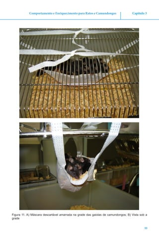 33
Capítulo 3Comportamento e Enriquecimento para Ratos e Camundongos
Figura 11. A) Máscara descartável amarrada na grade das gaiolas de camundongos; B) Vista sob a
grade
A
B
 