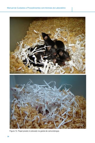 34
Manual de Cuidados e Procedimentos com Animais de Laboratório
Figura 12. Papel picado é colocado na gaiola de camundongos
 