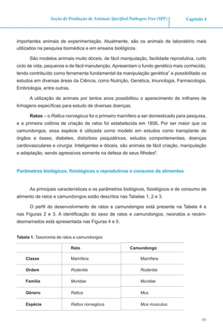 51
Capítulo 4Seção de Produção de Animais Specified Pathogen Free (SPF)
importantes animais de experimentação. Atualmente, são os animais de laboratório mais
utilizados na pesquisa biomédica e em ensaios biológicos.
São modelos animais muito dóceis, de fácil manipulação, facilidade reprodutiva, curto
ciclo de vida, pequenos e de fácil manutenção. Apresentam o fundo genético mais conhecido,
tendo contribuído como ferramenta fundamental da manipulação genética7
e possibilitado os
estudos em diversas áreas da Ciência, como Nutrição, Genética, Imunologia, Farmacologia,
Embriologia, entre outras.
A utilização de animais por tantos anos possibilitou o aparecimento de milhares de
linhagens específicas para estudo de diversas doenças.
Ratos – o Rattus norvegicus foi o primeiro mamífero a ser domesticado para pesquisa,
e a primeira colônia de criação de ratos foi estabelecida em 1856. Por ser maior que os
camundongos, essa espécie é utilizada como modelo em estudos como transplante de
órgãos e ósseo, diabetes, distúrbios psiquiátricos, estudos comportamentais, doenças
cardiovasculares e cirurgia. Inteligentes e dóceis, são animais de fácil criação, manipulação
e adaptação, sendo agressivos somente na defesa de seus filhotes8
.
Parâmetros biológicos, fisiológicos e reprodutivos e consumo de alimentos
As principais características e os parâmetros biológicos, fisiológicos e de consumo de
alimento de ratos e camundongos estão descritos nas Tabelas 1, 2 e 3.
O perfil do desenvolvimento de ratos e camundongos está presente na Tabela 4 e
nas Figuras 2 e 3. A identificação do sexo de ratos e camundongos, neonatos e recém-
desmamados está apresentada nas Figuras 4 e 5.
Tabela 1. Taxonomia de ratos e camundongos
Rato Camundongo
Classe Mamífera Mamífera
Ordem Rodentia Rodentia
Família Muridae Muridae
Gênero Rattus Mus
Espécie Rattus norvegicus Mus musculus
 