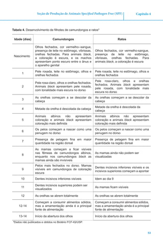 53
Capítulo 4Seção de Produção de Animais Specified Pathogen Free (SPF)
Tabela 4. Desenvolvimento de filhotes de camundongos e ratos*
Idade (dias) Camundongos Ratos
Nascimento
Olhos fechados, cor vermelho--sangue,
presença de leite no estômago, vibrissas,
orelhas fechadas. Para animais black,
a coloração é escura, e os machos
apresentam ponto escuro entre o ânus e
o aparelho genital
Olhos fechados, cor vermelho-sangue,
presença de leite no estômago,
vibrissas, orelhas fechadas. Para
animais black, a coloração é escura
1
Pele rosada, leite no estômago, olhos e
orelhas fechados
Pele rosada, leite no estômago, olhos e
orelhas fechados
2
Pele rosa-claro, olhos e orelhas fechados.
Animais black apresentam pele rosada,
com tonalidade mais escura no dorso
Pele rosa-claro, olhos e orelhas
fechados. Animais black apresentam
pele rosada, com tonalidade mais
escura no dorso
3
As orelhas começam a se descolar da
cabeça
As orelhas começam a se descolar da
cabeça
4 Metade da orelha é descolada da cabeça
Metade da orelha é descolada da
cabeça
5
Animais albinos não apresentam
coloração e animais black apresentam
coloração mais definida
Animais albinos não apresentam
coloração e animais black apresentam
coloração mais definida
6
Os pelos começam a nascer como uma
penugem no dorso
Os pelos começam a nascer como uma
penugem no dorso
7
Presença de pelagem fina em maior
quantidade na região dorsal
Presença de pelagem fina em maior
quantidade na região dorsal
8
As mamas começam a ficar visíveis
nas fêmeas de camundongos albinos,
enquanto nos camundongos black as
mamas ainda são invisíveis
As mamas ainda não podem ser
visualizadas
9
Pelos mais fechados no dorso. Mamas
visíveis em camundongos de coloração
escura
Dentes incisivos inferiores visíveis e os
incisivos superiores começam a apontar
10 Dentes incisivos inferiores visíveis Idem ao dia 9
11
Dentes incisivos superiores podem ser
visualizados
As mamas ficam visíveis
12 As orelhas se abrem totalmente As orelhas se abrem totalmente
12-14
Começam a consumir alimentos sólidos,
mas a amamentação ainda é a principal
fonte de alimentação
Começam a consumir alimentos sólidos,
mas a amamentação ainda é a principal
fonte de alimentação
13-14 Início da abertura dos olhos Início da abertura dos olhos
*Dados não publicados e obtidos no Biotério FCF-IQ/USP.
 