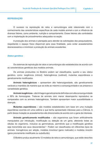 57
Capítulo 4Seção de Produção de Animais Specified Pathogen Free (SPF)
REPRODUÇÃO
O sucesso na reprodução de ratos e camundongos está relacionado com o
conhecimento das características específicas de cada modelo animal e com a influência de
diversos fatores, como ambiente, nutrição e comportamento. Esses fatores são controlados
com a implantação de procedimentos adequados na seção.
A produção dos animais é planejada para atender às solicitações dos pesquisadores,
respeitando o espaço físico disponível para essa finalidade, para evitar acasalamentos
desnecessários e minimizar a produção de animais excedentes.
Status genético
Os sistemas de reprodução de ratos e camundongos são estabelecidos de acordo com
as características genéticas dos modelos animais.
Os animais produzidos no Biotério podem ser classificados, quanto a seu status
genético, como: isogênicos (inbred), heterogênicos (outbred), mutantes espontâneos e
geneticamente modificados.
Animais heterogênicos – apresentam alta heterozigosidade, são geneticamente
variáveis e mantidos de maneira que se evite ao máximo a consanguinidade e se preserve a
variabilidade genética.
Animaisisogênicos–sãolinhagensgeneticamentedefinidascomaltaconsanguinidade
e 99% de homozigose. Trata-se de animais com menor desempenho reprodutivo se
comparados com os animais heterogênicos. Também apresentam maior suscetibilidade a
doenças.
Mutantes espontâneos – são modelos estabelecidos com base em uma mutação
espontânea ocorrida em uma colônia e que tenha apresentado interesse para a Ciência. A
partir dessa mutação os acasalamentos são direcionados de acordo com o gene de interesse.
Animais geneticamente modificados – são organismos que foram artificialmente
manipulados por introdução, modificação ou deleção de um gene, alterando todas as
células do organismo, inclusive as germinativas, permitindo que a modificação genética
seja transmitida aos seus descendentes11
. Podem ser classificados em diferentes tipos de
animais: transgênicos por adição, modelos knockout (gene inativado) e modelos knockin
(gene previamente modificado ou substituído).
O Biotério produz atualmente 12 modelos de ratos e camundongos, que estão descritos
 