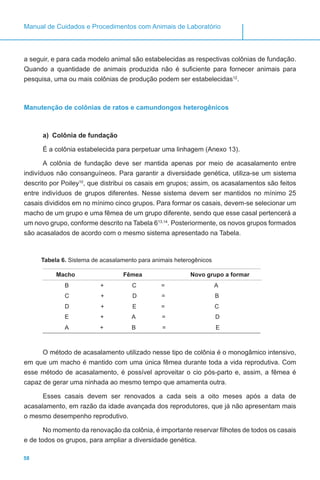 58
Manual de Cuidados e Procedimentos com Animais de Laboratório
a seguir, e para cada modelo animal são estabelecidas as respectivas colônias de fundação.
Quando a quantidade de animais produzida não é suficiente para fornecer animais para
pesquisa, uma ou mais colônias de produção podem ser estabelecidas12
.
Manutenção de colônias de ratos e camundongos heterogênicos
a)	 Colônia de fundação
É a colônia estabelecida para perpetuar uma linhagem (Anexo 13).
A colônia de fundação deve ser mantida apenas por meio de acasalamento entre
indivíduos não consanguíneos. Para garantir a diversidade genética, utiliza-se um sistema
descrito por Poiley10
, que distribui os casais em grupos; assim, os acasalamentos são feitos
entre indivíduos de grupos diferentes. Nesse sistema devem ser mantidos no mínimo 25
casais divididos em no mínimo cinco grupos. Para formar os casais, devem-se selecionar um
macho de um grupo e uma fêmea de um grupo diferente, sendo que esse casal pertencerá a
um novo grupo, conforme descrito na Tabela 613,14
. Posteriormente, os novos grupos formados
são acasalados de acordo com o mesmo sistema apresentado na Tabela.
Tabela 6. Sistema de acasalamento para animais heterogênicos
Macho Fêmea Novo grupo a formar
B + C = A
C + D = B
D + E = C
E + A = D
A + B = E
O método de acasalamento utilizado nesse tipo de colônia é o monogâmico intensivo,
em que um macho é mantido com uma única fêmea durante toda a vida reprodutiva. Com
esse método de acasalamento, é possível aproveitar o cio pós-parto e, assim, a fêmea é
capaz de gerar uma ninhada ao mesmo tempo que amamenta outra.
Esses casais devem ser renovados a cada seis a oito meses após a data de
acasalamento, em razão da idade avançada dos reprodutores, que já não apresentam mais
o mesmo desempenho reprodutivo.
No momento da renovação da colônia, é importante reservar filhotes de todos os casais
e de todos os grupos, para ampliar a diversidade genética.
 