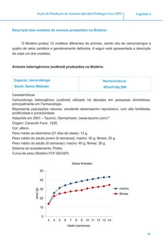 61
Capítulo 4Seção de Produção de Animais Specified Pathogen Free (SPF)
Descrição dos modelos de animais produzidos no Biotério
O Biotério produz 12 modelos diferentes de animais, sendo oito de camundongos e
quatro de ratos sanitária e geneticamente definidos. A seguir está apresentada a descrição
de cada um dos modelos.
Animais heterogênicos (outbred) produzidos no Biotério
Espécie: camundongo
Stock: Swiss Webster
Nomenclatura:
NTacFcfIq:SW
Características
Camundongo heterogênico (outbred) utilizado há décadas em pesquisas biomédicas,
principalmente em Farmacologia.
Representa populações naturais, excelente desempenho reprodutivo, com alta fertilidade,
prolificidade e produtividade.
Adquirido em 2001 – Taconic, Germantown, (www.taconic.com)15
.
Origem: Carworth Farm, 1935.
Cor: albino.
Peso médio ao desmame (21 dias de idade): 13 g.
Peso médio do adulto jovem (6 semanas): macho: 30 g; fêmea: 25 g.
Peso médio do adulto (8 semanas): macho: 40 g; fêmea: 30 g.
Sistema de acasalamento: Poiley.
Curva de peso (Biotério FCF-IQ/USP)
0
10
20
30
40
50
3 4 5 6 7 8 9 10 11 12 13 14
peso(g)
idade (semanas)
Swiss Webster
macho
fêmea
 