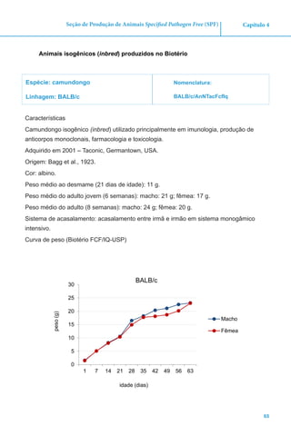65
Capítulo 4Seção de Produção de Animais Specified Pathogen Free (SPF)
Animais isogênicos (inbred) produzidos no Biotério
Espécie: camundongo
Linhagem: BALB/c
Nomenclatura:
BALB/c/AnNTacFcfIq
Características
Camundongo isogênico (inbred) utilizado principalmente em imunologia, produção de
anticorpos monoclonais, farmacologia e toxicologia.
Adquirido em 2001 – Taconic, Germantown, USA.
Origem: Bagg et al., 1923.
Cor: albino.
Peso médio ao desmame (21 dias de idade): 11 g.
Peso médio do adulto jovem (6 semanas): macho: 21 g; fêmea: 17 g.
Peso médio do adulto (8 semanas): macho: 24 g; fêmea: 20 g.
Sistema de acasalamento: acasalamento entre irmã e irmão em sistema monogâmico
intensivo.
Curva de peso (Biotério FCF/IQ-USP)
0
5
10
15
20
25
30
1 7 14 21 28 35 42 49 56 63
peso(g)
idade (dias)
BALB/c
Macho
Fêmea
 