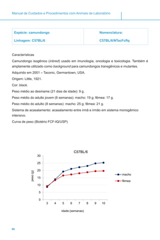 66
Manual de Cuidados e Procedimentos com Animais de Laboratório
Espécie: camundongo
Linhagem: C57BL/6
Nomenclatura:
C57BL/6/NTacFcfIq
Características
Camundongo isogênico (inbred) usado em imunologia, oncologia e toxicologia. Também é
amplamente utilizado como background para camundongos transgênicos e mutantes.
Adquirido em 2001 – Taconic, Germantown, USA.
Origem: Little, 1921.
Cor: black.
Peso médio ao desmame (21 dias de idade): 9 g.
Peso médio do adulto jovem (6 semanas): macho: 19 g; fêmea: 17 g.
Peso médio do adulto (8 semanas): macho: 25 g; fêmea: 21 g.
Sistema de acasalamento: acasalamento entre irmã e irmão em sistema monogâmico
intensivo.
Curva de peso (Biotério FCF-IQ/USP)
0
5
10
15
20
25
30
3 4 5 6 7 8 9 10
peso(g)
idade (semanas)
C57BL/6
macho
fêmea
 