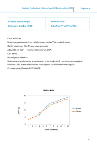 67
Capítulo 4Seção de Produção de Animais Specified Pathogen Free (SPF)
Espécie: camundongo
Linhagem: BALB/c NUDE
Nomenclatura:
C.Cg-Foxn1nu
/AnNTacFcfIq
Características
Mutante espontâneo inbred, deficiente em células-T (imunodeficiente).
Backcrossed com BALB/c por nove gerações.
Adquirido em 2001 – Taconic, Germantown, USA.
Cor: albino.
Homozigotos: Hairless.
Sistema de acasalamento: acasalamento entre irmã e irmão em sistema monogâmico
intensivo. São acasalados machos homozigotos com fêmeas heterozigotas.
Curva de peso (Biotério FCF/IQ-USP)
0
5
10
15
20
1 2 3 4 5 6 7 8 9 10 11 12
peso(g)
idade (semanas)
BALB/c Nude
Macho
Fêmea
 
