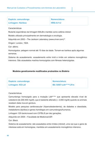 68
Manual de Cuidados e Procedimentos com Animais de Laboratório
Modelos geneticamente modificados produzidos no Biotério
Espécie: camundongo
Linhagem: KO-Ldl
Nomenclatura:
B6.129S7-Ldlrtm1Her
/JFm
Características
Camundongo homozigoto para a mutação Ldlrtm1Her
que apresenta elevado nível de
colesterol (de 200-400 mg/dl), que é bastante alterado (> 2,000 mg/dl) quando os animais
recebem dieta rica em gordura.
Modelo para pesquisa cardiovascular (hipercolesterolemia), de diabetes e obesidade,
metabolismo (lipídios) e genes homólogos em camundongos/humanos.
Linhagem 129 backcrossed com C57BL/6 por dez gerações.
Adquirido em 2005 – Faculdade de Medicina/USP.
Cor: Black.
Sistema de acasalamento: são acasalados entre irmãos (inbred), uma vez que o gene de
interesse está em homozigose, mantidos em acasalamento monogâmico intensivo.
Espécie: camundongo
Linhagem: Hairless
Nomenclatura:
HRS-hr/+/J
Características
Mutante espontâneo da linhagem BALB/c mantido como colônia inbred.
Modelo utilizado principalmente em dermatologia e oncologia.
Adquirido em 2002 – The Jackson Laboratory (www.criver.com)16
.
Origem: London, 1924.
Cor: albino.
Homozigotos: pelagem normal até 10 dias de idade. Tornam-se hairless após algumas
semanas.
Sistema de acasalamento: acasalamento entre irmã e irmão em sistema monogâmico
intensivo. São acasalados machos homozigotos com fêmeas heterozigotas.
 