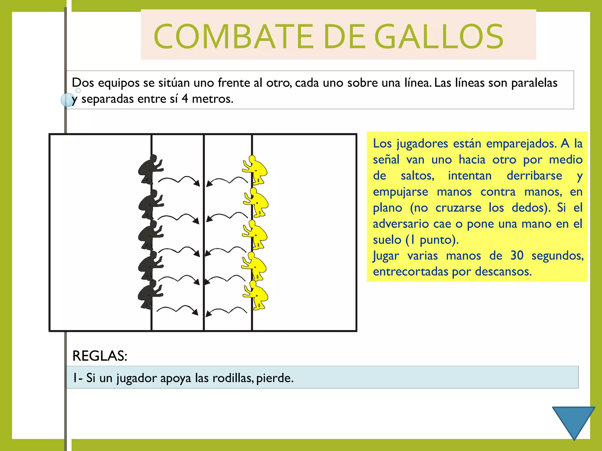 COMBATE DE GALLOS
Dos equipos se sitúan uno frente al otro, cada uno sobre una línea. Las líneas son paralelas
y separadas entre sí 4 metros.
Los jugadores están emparejados. A la
señal van uno hacia otro por medio
de saltos, intentan derribarse y
empujarse manos contra manos, en
plano (no cruzarse los dedos). Si el
adversario cae o pone una mano en el
suelo (1 punto).
Jugar varias manos de 30 segundos,
entrecortadas por descansos.
1- Si un jugador apoya las rodillas,pierde.
REGLAS:
 