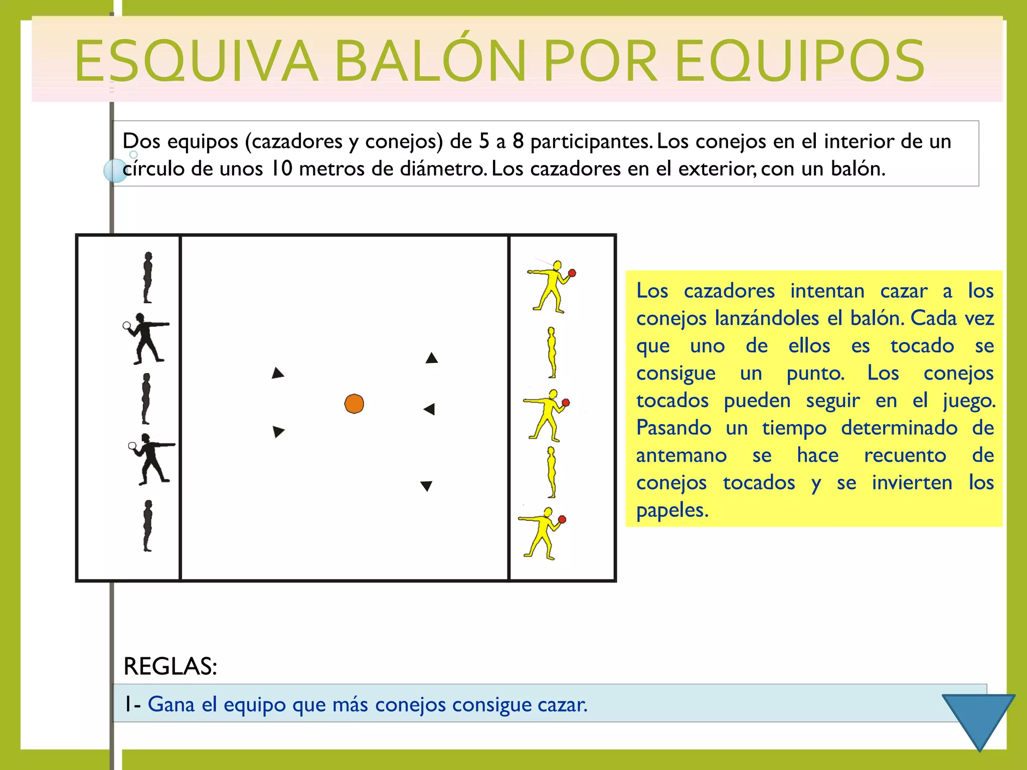 ESQUIVA BALÓN POR EQUIPOS
Dos equipos (cazadores y conejos) de 5 a 8 participantes.Los conejos en el interior de un
círculo de unos 10 metros de diámetro.Los cazadores en el exterior,con un balón.
Los cazadores intentan cazar a los
conejos lanzándoles el balón. Cada vez
que uno de ellos es tocado se
consigue un punto. Los conejos
tocados pueden seguir en el juego.
Pasando un tiempo determinado de
antemano se hace recuento de
conejos tocados y se invierten los
papeles.
1- Gana el equipo que más conejos consigue cazar.
REGLAS:
 