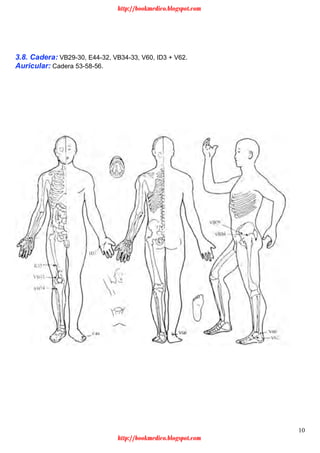 10
3.8. Cadera: VB29-30, E44-32, VB34-33, V60, ID3 + V62.
Auricular: Cadera 53-58-56.
http://bookmedico.blogspot.com
http://bookmedico.blogspot.com
 