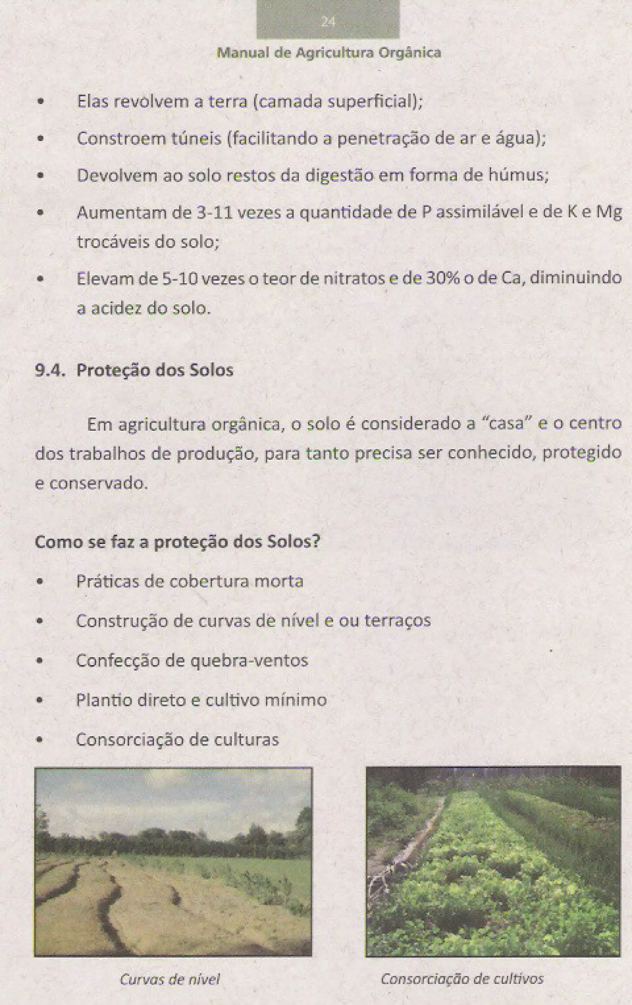 Manual de-agricultura-organica