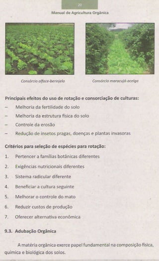 Manual de-agricultura-organica