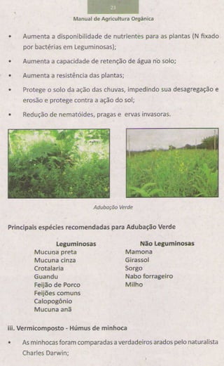 Manual de-agricultura-organica