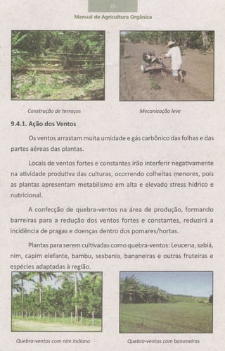 Manual de-agricultura-organica