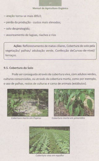 Manual de-agricultura-organica