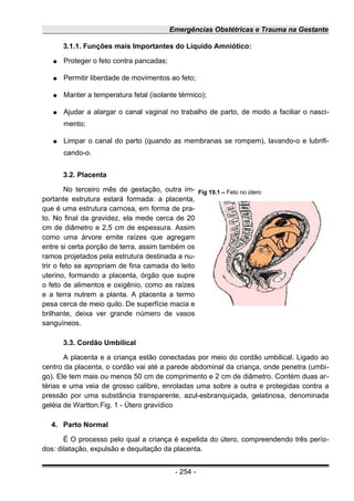 Emergências Obstétricas e Trauma na Gestante
3.1.1. Funções mais Importantes do Líquido Amniótico:
● Proteger o feto contra pancadas;
● Permitir liberdade de movimentos ao feto;
● Manter a temperatura fetal (isolante térmico);
● Ajudar a alargar o canal vaginal no trabalho de parto, de modo a faciliar o nasci-
mento;
● Limpar o canal do parto (quando as membranas se rompem), lavando-o e lubrifi-
cando-o.
3.2. Placenta
No terceiro mês de gestação, outra im-
portante estrutura estará formada: a placenta,
que é uma estrutura carnosa, em forma de pra-
to. No final da gravidez, ela mede cerca de 20
cm de diâmetro e 2,5 cm de espessura. Assim
como uma árvore emite raízes que agregam
entre si certa porção de terra, assim também os
ramos projetados pela estrutura destinada a nu-
trir o feto se apropriam de fina camada do leito
uterino, formando a placenta, órgão que supre
o feto de alimentos e oxigênio, como as raízes
e a terra nutrem a planta. A placenta a termo
pesa cerca de meio quilo. De superfície macia e
brilhante, deixa ver grande número de vasos
sanguíneos.
3.3. Cordão Umbilical
A placenta e a criança estão conectadas por meio do cordão umbilical. Ligado ao
centro da placenta, o cordão vai até a parede abdominal da criança, onde penetra (umbi-
go). Ele tem mais ou menos 50 cm de comprimento e 2 cm de diâmetro. Contém duas ar-
térias e uma veia de grosso calibre, enroladas uma sobre a outra e protegidas contra a
pressão por uma substância transparente, azul-esbranquiçada, gelatinosa, denominada
geléia de Wartton.Fig. 1 - Útero gravídico
4. Parto Normal
É O processo pelo qual a criança é expelida do útero, compreendendo três perío-
dos: dilatação, expulsão e dequitação da placenta.
- 254 -
Fig 19.1 – Feto no útero
 