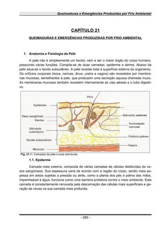 Queimaduras e Emergências Produzidas por Frio Ambiental
CAPÍTULO 21
QUEIMADURAS E EMERGÊNCIAS PRODUZIDAS POR FRIO AMBIENTAL
1. Anatomia e Fisiologia da Pele
A pele não é simplesmente um tecido; vem a ser o maior órgão do corpo humano,
possuindo várias funções. Compõe-se de duas camadas: epiderme e derme. Abaixo da
pele situa-se o tecido subcutâneo. A pele reveste toda a superfície externa do organismo.
Os orifícios corporais (boca, narinas, ânus, uretra e vagina) são revestidos por membra-
nas mucosas, semelhantes à pele, que produzem uma secreção aquosa chamada muco.
As membranas mucosas também revestem internamente as vias aéreas e o tubo digesti-
vo.
1.1. Epiderme
Camada mais externa, composta de várias camadas de células destituídas de va-
sos sangüíneos. Sua espessura varia de acordo com a região do corpo, sendo mais es-
pessa em áreas sujeitas a pressão ou atrito, como a planta dos pés e palma das mãos.
Impermeável à água, funciona como uma barreira protetora contra o meio ambiente. Esta
camada é constantemente renovada pela descamação das células mais superficiais e ge-
ração de novas na sua camada mais profunda.
- 280 -
Fig. 21.1 - Camadas da pele e suas estruturas.
 