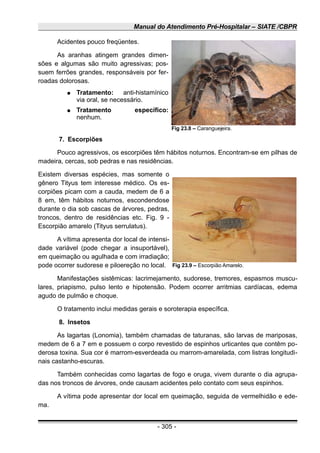 Manual do Atendimento Pré-Hospitalar – SIATE /CBPR
Acidentes pouco freqüentes.
As aranhas atingem grandes dimen-
sões e algumas são muito agressivas; pos-
suem ferrões grandes, responsáveis por fer-
roadas dolorosas.
● Tratamento: anti-histamínico
via oral, se necessário.
● Tratamento específico:
nenhum.
7. Escorpiões
Pouco agressivos, os escorpiões têm hábitos noturnos. Encontram-se em pilhas de
madeira, cercas, sob pedras e nas residências.
Existem diversas espécies, mas somente o
gênero Tityus tem interesse médico. Os es-
corpiões picam com a cauda, medem de 6 a
8 em, têm hábitos noturnos, escondendose
durante o dia sob cascas de árvores, pedras,
troncos, dentro de residências etc. Fig. 9 -
Escorpião amarelo (Tityus serrulatus).
A vítima apresenta dor local de intensi-
dade variável (pode chegar a insuportável),
em queimação ou agulhada e com irradiação;
pode ocorrer sudorese e piloereção no local.
Manifestações sistêmicas: lacrimejamento, sudorese, tremores, espasmos muscu-
lares, priapismo, pulso lento e hipotensão. Podem ocorrer arritmias cardíacas, edema
agudo de pulmão e choque.
O tratamento inclui medidas gerais e soroterapia específica.
8. Insetos
As lagartas (Lonomia), também chamadas de taturanas, são larvas de mariposas,
medem de 6 a 7 em e possuem o corpo revestido de espinhos urticantes que contêm po-
derosa toxina. Sua cor é marrom-esverdeada ou marrom-amarelada, com listras longitudi-
nais castanho-escuras.
Também conhecidas como lagartas de fogo e oruga, vivem durante o dia agrupa-
das nos troncos de árvores, onde causam acidentes pelo contato com seus espinhos.
A vítima pode apresentar dor local em queimação, seguida de vermelhidão e ede-
ma.
- 305 -
Fig 23.8 – Caranguejeira.
Fig 23.9 – Escorpião Amarelo.
 