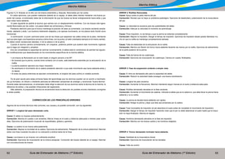 Guía del Entrenador de Atletismo (1ª Edición) Guía del Entrenador de Atletismo (1ª Edición)62 63
Marcha Atlética
Marcha Atlética
Figuras 5 y 6. Bracear en el sitio con los brazos extendidos y, después, flexionados por los codos.
En estos ejercicios, que pueden realizarse delante de un espejo, el atleta debe intentar mantener una buena po-
sición del cuerpo, el entrenador debe dar la información de que los brazos se llevan enérgicamente hacia atrás y que
caen solos hacia adelante .
El paso siguiente es pedirle al alumno que camine con un desplazamiento rectilíneo. Con los brazos sólo ligera-
mente flexionados por los codos. Los pasos deben ser armoniosos y rítmicos.
Prestando atención para que el tronco mantenga la posición de base ya comentada. Los brazos oscilando amplia-
mente, adelante y atrás. Los hombros totalmente relajados y sin apenas movimiento, en los planos tanto frontal como
transversal.
A continuación, el joven caminará sobre una de las líneas que separaran las calles rectas de la pista, intentando
que sus pies sigan una trayectoria cercana a dicha línea, con la punta y el talón orientados siempre en el mismo sentido.
No deben existir oscilaciones laterales, ni de la cabeza ni de la pelvis.
Cuando el alumno camina correctamente, sin crisparse, podemos pedirle que acelere este movimiento vigilando
que lo haga con relajación y amplitud.
Una vez consolidada la capacidad de caminar correctamente, el atleta está en condiciones de asimilar las siguien-
tes modificaciones que desembocarán en los movimientos específicos de la marcha atlética.
• Los brazos se flexionarán por el codo hasta un ángulo cercano a los 90º.
• Se buscará que la pierna, cuando toma contacto con el suelo, esté totalmente extendida por la articulación de la
rodilla.
• La pierna posterior ejercerá una mayor impulsión.
• Se acentuará el movimiento de la cadera prestando atención a que este movimiento sea hacia adelante-atrás y
no lateral.
• Si todos los pasos anteriores se ejecutan correctamente, la longitud del paso sufrirá un notable aumento.
Es de gran ayuda para estas primeras fases del aprendizaje que los alumnos puedan ver en acción a marchado-
res ya formados, en directo o mediante películas de diferentes campeones de prestigio y reconocida “buena técnica”.
Durante estas demostraciones, el entrenador debe dirigir la atención de sus alumnos sobre la técnica de la marcha, la
diferencia de estilos, y las posibles infracciones del reglamento.
Más adelante, la preparación técnica se encaminará hacia la detección de posibles errores intentando corregirlos
lo antes posible.
CORRECCIÓN DE LOS PRINCIPALES ERRORES
Algunos de los errores técnicos más comunes, sus causas y la posible corrección, son los siguientes:
ERROR 1: Longitud del paso demasiado corta.
Causa: El atleta no impulsa suficientemente.
Corrección: Marcha en cuesta o con arrastres. Marcar líneas en el suelo a distancia adecuada e intentar pisar sobre
ellas. Ejercicios de potenciación muscular de isquiotibiales, glúteos y gemelos.
Causa: La cadera no se mueve adecuadamente.
Corrección: Mejorar la movilidad de la cadera. Ejercicios de estiramiento. Relajación de la cintura abdominal. Marchar
sobre una línea cruzando los pies en su colocación a ambos lados de la línea.
Causa: Los brazos no se mueven con suficiente amplitud.
Corrección: Ejercicios de musculación de la cintura escapular. Corrección del braceo delante de un espejo. Marchar
con circunducciones de brazos.
ERROR 2: Rodillas flexionadas.
Causa: Apoyo sobre la parte interna del pie.
Corrección: Revisar que no haya un problema podológico. Ejercicios de elasticidad y potenciación de la musculatura
del pie.
Causa: La velocidad es excesiva para las posibilidades del atleta.
Corrección: Adecuar la velocidad al momento de aprendizaje.
Causa: Poca impulsión, no da tiempo a que la pierna se extienda completamente.
Corrección: Mejorar la impulsión. Alargar el tiempo de impulsión. Ejercicios de impulsión desde parado fijándose mu-
cho en que la rodilla se mantenga completamente estirada.
Causa: Falta de elasticidad de la articulación de la rodilla.
Corrección: Marcha con flexión de tronco hacia adelante llevando las manos por la rodilla. Ejercicios de estiramiento
de la parte posterior de la pierna.
Causa: Falta de fuerza de los cuádriceps.
Corrección: Ejercicios de musculación de cuádriceps. Carrera en cuesta. Multisaltos.
ERROR 3: Fase de suspensión evidente a simple vista.
Causa: El ritmo es demasiado alto para la capacidad del atleta.
Corrección: Reducir la velocidad hasta conseguir una buena coordinación.
Causa: Longitud de paso excesiva.
Corrección: Aumentar la frecuencia. Marchar intentando seguir marcas en el suelo a distancia adecuada.
Causa: Rodillas demasiado elevadas en la fase oscilante.
Corrección: Aumentar el movimiento de caderas. Indicarle al atleta que es la cadera la que debe llevar la pierna hacia
adelante y no la rodilla.
Causa: La pierna es llevada hacia adelante con rigidez.
Corrección: Relajar la pierna y dejar que ésta sea arrastrada por la cadera.
Causa: Fase incompleta de impulsión (el pie abandona el suelo antes de completar el movimiento de impulsión).
Corrección: Alargar el tiempo de impulsión haciendo notar que el pie no debe abandonar el suelo hasta que la impul-
sión no haya finalizado. Marcha en bajada.
Causa: Hombros demasiado elevados en la fase de impulsión.
Corrección: Marcha con los brazos caídos y los hombros relajados.
ERROR 4: Tronco demasiado inclinado hacia adelante.
Causa: Debilidad de la musculatura dorsal.
Corrección: Ejercicios de musculación de los dorsales.
Causa: Falta de control.
 