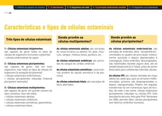 PÁG.46
Características e tipos de células estaminais
Três tipos de células estaminais
1 - Células estaminais totipotentes:
são capazes de gerar todos os tipos de
células do organismo (incluindo a placenta):
> células embrionárias do zigoto.
2 - Células estaminais pluripotentes:
são capazes de gerar, não um novo
organismo, mas todos os tipos de células do
organismo (à excepção da placenta):
> células estaminais embrionárias;
> células pluripotentes induzidas (induced
pluripotent stemcells).
3 - Células estaminais multipotentes:
são capazes de gerar um grande número de
tipos celulares, mas não todos:
> células estaminais adultas;
> células estaminais umbilicais;
> células estaminais amnióticas, placentárias;
> células estaminais fetais.
Donde provêm as
células multipotentes?
As células estaminais adultas são extraídas
do corpo (criança ou adulto). Ex: pele, mús-
culo, sangue, medula óssea, gordura, etc…
As células estaminais umbilicais são extraí-
das do sangue do cordão umbilical.
As células estaminais amnióticas e placentá-
rias provêm do líquido amniótico e da pla-
centa.
As células estaminais fetais são extraídas de
fetos abortados.
Donde provêm as
células pluripotentes?
As células estaminais embrionárias são
extraídas de embriões, ditos “excedentários”,
concebidos no quadro da procriação medica-
mente assistida e depois abandonados à
investigação. Estes embriões, descongelados,
são reanimados durante alguns dias, até ao
estádio blastocisto (6 a 7 dias), antes de serem
destruídos para colheita das referidas células.
As células IPS são células retiradas do corpo
adulto (ex: pele) que, para se tornarem indife-
renciadas, primeiro são desprogramadas e,
depois, reprogramadas. Podem, em seguida,
transformar-se em numerosos tipos de teci-
dos, de onde o seu nome: células estaminais
pluripotentes induzidas ou células IPS. Esta
descoberta decisiva, feita pelo Prof. Yamanaka
em 2006, permite obter células pluripotentes
sem destruir embriões humanos.
1 / História do pequeno ser humano 2 / O abortamento 3 / O diagnóstico pré-natal 4 / A procriação medicamente assistida 5 / O diagnóstico pré-implantação
 