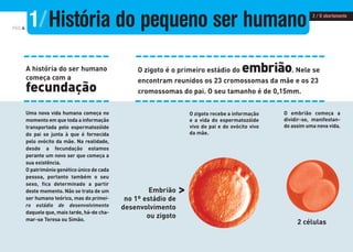 PÁG.4
A história do ser humano
começa com a
fecundação
O zigoto recebe a informação
e a vida do espermatozóide
vivo do pai e do ovócito vivo
da mãe.
O embrião começa a
dividir-se, manifestan-
do assim uma nova vida.
>Embrião
no 1º estádio de
desenvolvimento
ou zigoto
2 células
O zigoto é o primeiro estádio do embrião. Nele se
encontram reunidos os 23 cromossomas da mãe e os 23
cromossomas do pai. O seu tamanho é de 0,15mm.
Uma nova vida humana começa no
momento em que toda a informação
transportada pelo espermatozóide
do pai se junta à que é fornecida
pelo ovócito da mãe. Na realidade,
desde a fecundação estamos
perante um novo ser que começa a
sua existência.
O património genético único de cada
pessoa, portanto também o seu
sexo, fica determinado a partir
deste momento. Não se trata de um
ser humano teórico, mas do primei-
ro estádio de desenvolvimento
daquele que, mais tarde, há-de cha-
mar-se Teresa ou Simão.
1/História do pequeno ser humano 2 / O abortamento
 
