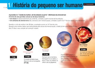 PÁG.6
A gravidez é o “estado da mulher, da fecundação ao parto”. (Definição dos dicionários)
O termo de uma gravidez calcula-se de duas maneiras:
• em meses de desenvolvimento do embrião, contados a partir do dia da fecundação;
• em semanas de amenorreira (SA, semanas sem menstruação), contadas a partir do 1º dia do último ciclo menstrual.
Quando o ciclo da mulher é de 28 dias, a ovulação ocorre no 14º dia do ciclo.
Quando uma mulher deduz que está grávida pelo atraso da menstruação, o bebé já tem pelo menos14 dias.
Aos 21 dias o seu coração vai começar a bater.
1º mês
Ocoraçãodobebéjábate.
Ouve-seevê-senaecografia.
21º dia
Às 7 semanas
(17-22 mm)
Às 8 semanas
(35 mm)
Às 11 semanas
(6 cm - 20 gr)
O feto às 5 semanas
(3-5 mm)
1º dia
Zigoto
2º mês
Formam-se os membros.
Distinguem-se os dedos, a
boca, o nariz, as orelhas, os
olhos e até as pálpebras.
3º mês
Já mexe as mãos e os
pés. O seu sexo pode
reconhecer-se.
A partir da 8ª semana, o
embrião passa a chamar-se
feto. O cérebro e os outros
órgãos já estão individualiza-
dos.
1/História do pequeno ser humano 2 / O abortamento
 