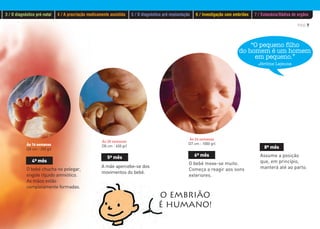 PÁG.7
4º mês
O bebé chucha no polegar,
engole líquido amniótico.
As mãos estão
completamente formadas.
A mãe apercebe-se dos
movimentos do bebé.
6º mês
O bebé mexe-se muito.
Começa a reagir aos sons
exteriores.
8º mês
Assume a posição
que, em princípio,
manterá até ao parto.
Às 20 semanas
(30 cm - 650 gr)Às 16 semanas
(20 cm - 250 gr)
Às 24 semanas
(37 cm - 1000 gr)
5º mês
“O pequeno filho
do homem é um homem
em pequeno.”
Jérôme Lejeune
O EMBRIÃO
É HUMANO!
3 / O diagnóstico pré-natal 4 / A procriação medicamente assistida 5 / O diagnóstico pré-implantação 6 / Investigação com embriões 7 / Eutanásia/Dádiva de orgãos
 