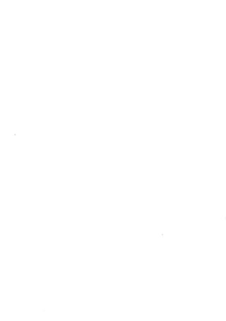 Manual de-Bobinagem-weg