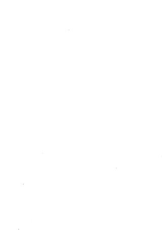 Manual de bobinagem weg