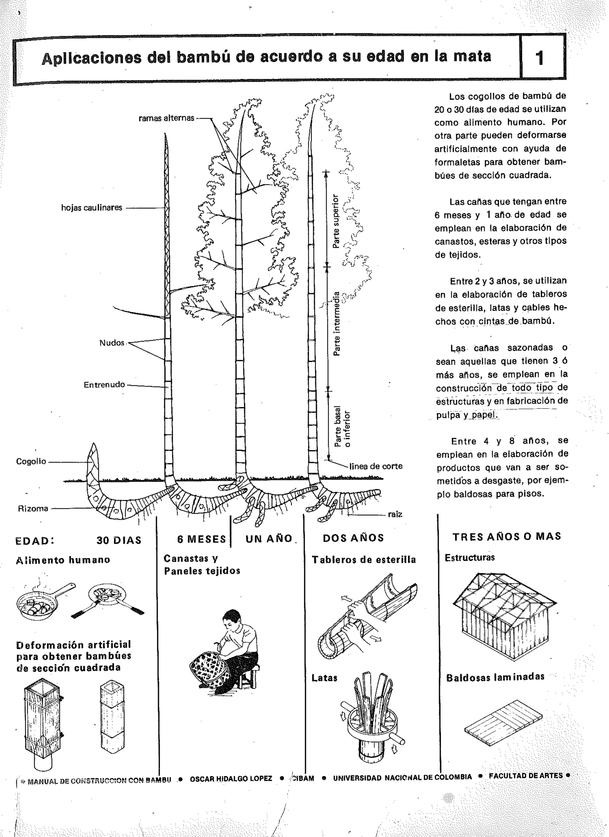 Manual de-construccion-con-bambu