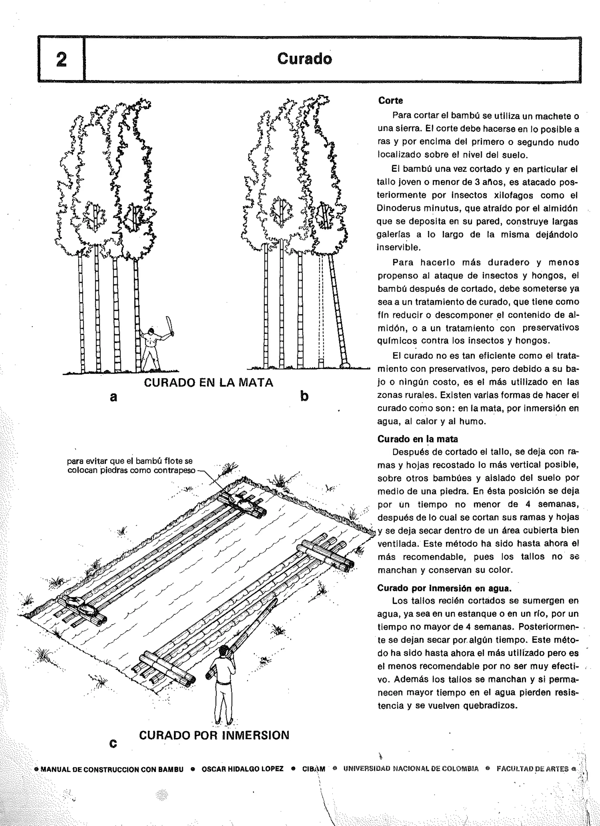 Manual de-construccion-con-bambu