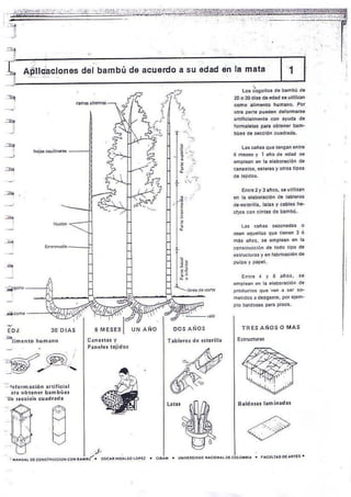 Manual de-construccion-con-bambu-o.h.lopez