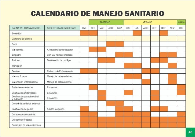 calendario sanitario by Cesar Max Perlacios Vargas