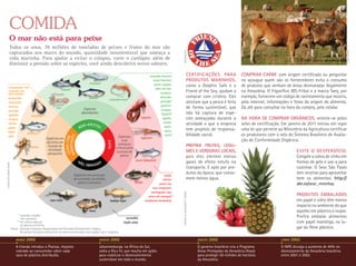 COMIDA
                   O mar não está para peixe
                   Todos os anos, 78 milhões de toneladas de peixes e frutos do mar são
                   capturados nos mares do mundo, quantidade insustentável que ameaça a




                                                                                                                                                                                                                                                                                                      stock.xchng
                                                                                                                                                                   REPRODUção
                   vida marinha. Para ajudar a evitar o colapso, varie o cardápio: além de
                   diminuir a pressão sobre as espécies, você ainda descobrirá novos sabores.

                                                                                                                                              camarão-branco*                            CERTIFIC AÇÕES PAR A                   COMPRAR CARNE com origem certificada ou perguntar
                                                                                                                                                atum (bonito)                            PRODUTOS MARINHOS,                     no açougue quem são os fornecedores evita o consumo
                                                                                              manjuba                                            peixe-espada
           caranguejo-real                                                                                                                                                               como o Dolphin Safe e o                de produtos que venham de áreas desmatadas ilegalmente
                                                                        robalo*                                                                   olho-de-boi
           camarão-de-
                                                                                                                                                      carapicu                           Friend of the Sea, ajudam a            na Amazônia. O frigorífico JBS-Friboi e a marca Taeq, por
           sete-barbas
           porquinho                                                                         salmão*                                                  dourado                            comprar com critério. Eles             exemplo, fornecem um código de rastreamento que mostra,
                                                                                                             camarão-rosa*
           namorado                                                                                                                                   garoupa*                           atestam que a pesca é feita            pela internet, informações e fotos da origem do alimento.
                                                                                                                                                      guaivira
           merluza                                               lula                     Espécies                                                    carapau
                                                                                                                                                                                         de forma sustentável, que              Dá até para consultar na hora da compra, pelo celular.
           pescada
           agulhão
                                                                                         abundantes                                                    bijupirá*                         não há captura de espé-
                           mexilhão**
           congrio
                                                                                                                                       lagosta          agulha                           cies ameaçadas durante a               NA HORA DE COMPRAR ORGÂNICOS, oriente-se pelos
                                                                                                                                                        cavala
           tainha
                                                                                          m ape tite!                                                                                    atividade e que a empresa              selos de certificação. Em janeiro de 2011 entrou em vigor
           pargo                                                                        bo                                                               xaréu
                                                                                                                                                                                         tem projetos de responsa-              uma lei que permite ao Ministério da Agricultura certificar
           bagre                                                                                                                                          meca
                        anchova
           galo                                                                                                      Espécies                             ostra*                         bilidade social.                       os produtores com o selo do Sistema Brasileiro de Avalia-
                                                                            ode ação




                                                                                                                                       lagostim
                                                                          c om r m




                                                          Espécies em                                                                                                                                                           ção de Conformidade Orgânica.
                                                                                                                        com
                                                                               a co




                                                          declínio em
                                                                                                           evite




                                                                                                                     estoques                                                            Prefira frutas, legu-
                                           polvo           função da                                               críticos pelo
                                                           atividade                                                                                                                     mes e verduras locais,                                                           E vite o desperdício.
                                                                                                                    excesso de
                                                           pesqueira
                                                                          m




                                                                                                                       pesca                                                             pois eles emitem menos                                                           Congele a sobra de vinho em
                                                                                                                                   atum (albacora)
                                                                                       NÃ
                                                                                         O, OBRIGADO!                                                                                    gases de efeito estufa no                                                        formas de gelo e use-a para
ilustração: Daniel Rosini




                                    sardinha                                                                                                                                             transporte. E opte por pro-                                                      cozinhar. O Sesc São Paulo
                                                                                  Espécies em processo                                                    cação
                                                                                                                                                                                         dutos da época, que conso-                                                       tem receitas para aproveitar
                                                                                  de extinção, proibidas                                                 cherne                          mem menos água.                                                                  bem os alimentos: http://
                                                                                     para o consumo                                badejo
                                               linguado
                                                                                                                                                      peixe-lua                                                                                                           abr.io/sesc_receitas.
                                                                                                                                                 raia-emplastro
                                                                                                                                                caranguejo-uça
                                                                                                                                                                   Antonio M. Rosario/Getty Images



                                                                                                                                              ostra-de-mangue**                                                                                                           PRODUTOS EMBALADOS
                                                            raia-viola                                          badejo-tigre                emplastro-borboleta                                                                                                           em papel e vidro têm menos
                                                                                                                                                                                                                                                                          impacto no ambiente do que




                                                                                                                                                                                                                                                  stock.xchng
                                                                                        mero                                                                                                                                                                              aqueles em plástico e isopor.
                                  *  uando criados
                                    q                                                                                                                                                                                                                                     Prefira embalar alimentos
                                    em cativeiro                                                                            vermelho
                                **  e coleta natural
                                   d                                                                                      cação-anjo                                                                                                                                      com papel manteiga, no lu-
                                   ou pesca extrativa
                            Fonte: Guia de Consumo Responsável de Pescados (Unimonte) e Ibama.                                                                                                                                                                            gar do filme plástico.
                                   Os peixes listados estão entre os mais encontrados nas regiões Sul e Sudeste.

                                março   2002                                                           agosto   2002                                                                                 agosto   2002                                              junho   2003
                                A Irlanda introduz o Plastax, imposto                                  Johannesburgo, na África do Sul,                                                              O governo brasileiro cria o Programa                       O INPE divulga o aumento de 40% no
                                cobrado ao consumidor sobre cada                                       sedia a Rio+10, que resulta em ações                                                          Áreas Protegidas da Amazônia (Arpa)                        desmatamento da Amazônia brasileira
                                saco de plástico distribuído.                                          para viabilizar o desenvolvimento                                                             para proteger 50 milhões de hectares                       entre 2001 e 2002.
                                                                                                       sustentável em todo o mundo.                                                                  da Amazônia.
 