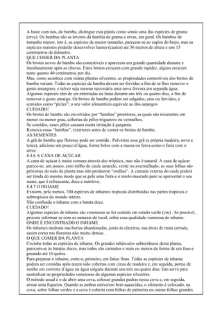 A haste com nós, do bambu, distingue esta planta como sendo uma das espécies de grama
(erva). Os bambus são as árvores da família da grama e ervas, em geral. Os bambus de
tamanho menor, isto é, as espécies de menor tamanho, parecem-se ao capim do brejo, mas as
espécies maiores poderão desenvolver hastes (caules) até 36 metros de altura e uns 15
centímetros de diâmetro.
QUE COMER DA PLANTA
Os brotos novos do bambu são comestíveis e aparecem em grande quantidade durante e
imediatamente após as chuvas. Estes brotos crescem com grande rapidez, alguns crescem
tanto quanto 40 centímetros por dia.
Mas, como acontece com outras plantas silvestres, as propriedades comestíveis dos brotos de
bambu variam. Todas as espécies de bambu devem ser fervidas a fim de se lhes remover o
gosto amargoso; e talvez seja mesmo necessária uma nova fervura em segunda água.
Algumas espécies têm de ser enterradas na lama durante uns três ou quatro dias, a fim de
remover o gosto amargo. Os brotos de bambu podem ser salgados, crus ou fervidos, e
comidos como “picles”; o seu valor alimentício equivale ao dos aspargos
CUIDADO!
Os brotos de bambu são envolvidos por “bainhas” protetoras, as quais são resistentes em
menor ou menor grau, cobertas de pêlos trigueiros ou vermelhos.
Se comidos, esses pêlos causam muita irritação à garganta.
Remova essas “bainhas”, exteriores antes de comer os brotos de bambu.
AS SEMENTES
A grã do bambu que floresce pode ser comida . Pulverize essa grã (a própria madeira, nova e
tenra), adicione um pouco d’água, forme bolos com a massa ou ferva como o faria com o
arroz.
8.4.6 A CANA DE AÇÚCAR
A cana de açúcar é muito comum através dos trópicos, mas não é natural. A cana de açúcar
parece-se, um pouco, com milho de caule amarelo, verde ou avermelhado; as suas folhas são
próximas do todo da planta mas não produzem “orelhas”. A camada externa do caule poderá
ser tirada do mesmo modo que se pela uma fruta e o miolo mascado paro se aproveitar o seu
sumo, que é refrescante, doce e nutritivo.
8.4.7 O INHAME
Existem, pelo menos, 700 espécies de inhames tropicais distribuídas nas partes tropicais e
subtropicais do mundo inteiro.
Não confunda o inhame com a batata doce.
CUIDADO!
Algumas espécies de inhame são venenosas se for comido em estado verde (cru) . Se possível,
procure informar-se com os naturais do local, sobre essa qualidade venenosa de inhame.
ONDE É ENCONTRADO O INHAME
Os inhames medram nas hortas abandonadas, junto às clareiras, nas áreas de mata cerrada,
assim como nas florestas não muito densas .
O QUE COMER DA PLANTA
Cozinhe todas as espécies de inhame. Os grandes tubérculos subterrâneos desta planta,
parecem-se às batatas doces, mas todos são carnudos e mais ou menos da forma de um fuso e
pesando até 10 quilos.
Para preparar o inhame, corte-o, primeiro, em fatias finas. Todas as espécies de inhame
podem ser comidas após terem sido cobertas com cinza de madeira e, em seguida, portas de
molho em corrente d’água ou água salgada durante uns três ou quatro dias. Isto serve para
neutralizar as propriedades venenosas de algumas espécies silvestres.
O método usual é o de abrir uma cova, colocar grandes pedras nessa cova e, em seguida,
armar uma fogueira. Quando as pedras estiverem bem aquecidas, o alimento é colocado, na
cova, sobre folhas verdes e a cova é coberta com folhas de palmeira ou outras folhas grandes.
 