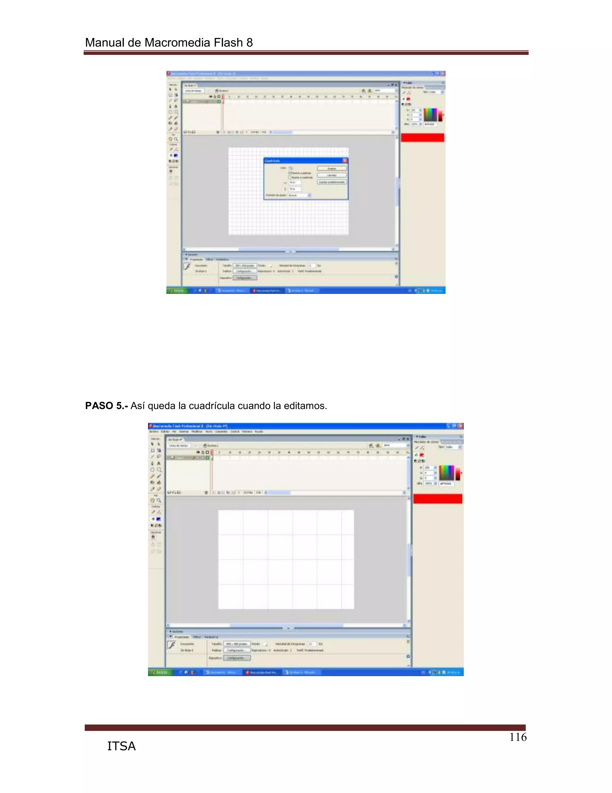 Manual de Macromedia Flash 8
116
ITSA
PASO 5.- Así queda la cuadrícula cuando la editamos.
 