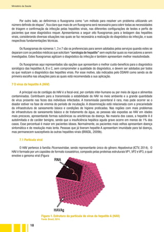 18
Ministério da Saúde
Por outro lado, ao definirmos o fluxograma como “um método para resolver um problema utilizando um
número definido de etapas”,fica claro que mais de um fluxograma será necessário para cobrir todas as necessidades
de triagem e confirmação da infecção pelas hepatites virais, nas diferentes configurações de testes e perfis de
pacientes que esse diagnóstico requer. Apresentamos a seguir oito fluxogramas para a testagem das hepatites
virais, considerando diversas situações nas quais se faz necessária a realização do diagnóstico da infecção, e suas
respectivas fundamentações técnicas.
Os fluxogramas de números 1, 3 e 7 são os preferenciais para serem adotados pelos serviços quando estes se
deparam com os pedidos médicos que solicitam “sorologia de hepatite” sem explicitar quais os marcadores a serem
investigados. Estes fluxogramas agilizam o diagnóstico da infecção e também apresentam melhor resolutividade.
Os fluxogramas aqui representados são opções que apresentam o melhor custo-benefício para o diagnóstico
sorológico das hepatites A, B e C, sem comprometer a qualidade do diagnóstico, e devem ser adotados por todos
os que realizam o diagnóstico das hepatites virais. Por esse motivo, são indicados pelo DDAHV como sendo os de
primeira escolha nas situações para as quais está recomendada a sua aplicação.
7 O vírus da hepatite A (HAV)
A principal via de contágio do HAV é a fecal-oral, por contato inter-humano ou por meio de água e alimentos
contaminados. Contribuem para a transmissão a estabilidade do HAV no meio ambiente e a grande quantidade
de vírus presente nas fezes dos indivíduos infectados. A transmissão parenteral é rara, mas pode ocorrer se o
doador estiver na fase de viremia do período de incubação. A disseminação está relacionada com a precariedade
da infraestrutura de saneamento básico e condições de higiene praticadas. Nas regiões com mais problemas
de infraestrutura de saneamento básico e de tratamento da água, as pessoas são expostas ao HAV em idades
mais precoces, apresentando formas subclínicas ou anictéricas da doença. Na maioria dos casos, a hepatite A é
autolimitada e de caráter benigno, sendo que a insuficiência hepática aguda grave ocorre em menos de 1% dos
casos. Esse percentual é maior em pacientes idosos. Normalmente, os pacientes mais velhos apresentam doença
sintomática e de resolução mais lenta. Pessoas que já tiveram hepatite A apresentam imunidade para tal doença,
mas permanecem susceptíveis às outras hepatites virais (BRASIL, 2009b).
7.1 Partícula viral
O HAV pertence à família Picornaviridae, sendo representante único do gênero Hepatovirus (ICTV, 2014). O
HAV é formado por um capsídeo de formato icosaédrico, composto pelas proteínas estruturais VP1,VP2 e VP3, o qual
envolve o genoma viral (Figura 1) (GASPAR; VITRAL; DE OLIVEIRA, 2013).
Figura 1. Estrutura da partícula do vírus da hepatite A (HAV)
Fonte: Brasil, 2014.
 