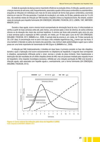 21
Manual Técnico para o Diagnóstico das Hepatites Virais
A idade de aquisição da doença exerce importante influência na evolução clínica.A infecção,quando ocorre em
crianças menores de seis anos,está,frequentemente,associada a quadro clínico pouco sintomático ou assintomático,
enquanto as infecções em indivíduos com mais de 50 anos evoluem de forma mais grave e sintomática, ocorrendo
icterícia em mais de 70% dos pacientes. O período de incubação é, em média, de 28 dias, podendo variar de 15 a 50
dias, não existindo relatos de infecção por HAV levando a hepatite crônica ou hepatocarcinoma. No entanto, existem
casos de evolução para hepatite fulminante (DA CONCEIÇAO; SICILIANO; FOCACCIA, 2013; LEMON, 1997; MATHENY;
KINGERY, 2012).
Durante a fase aguda, ocorre viremia inicial acompanhada de eliminação fecal do vírus. A infecciosidade se
verifica a partir de duas semanas antes até, pelo menos, uma semana após o início da icterícia, de outros sintomas
clínicos ou da elevação dos níveis das enzimas hepáticas. A viremia nas fezes está presente após cerca de uma
a duas semanas após a exposição ao HAV e persiste, em média, por 79 dias após o pico de ALT (DA CONCEIÇAO;
SICILIANO; FOCACCIA, 2013; NAINAN et al., 2006). O período total da viremia é, em média, de 79 dias (variando de
36 a 391 dias). A concentração viral no soro é de duas a três unidades logarítmicas (log10
) menor que nas fezes. O
vírus também é liberado na saliva da maioria dos pacientes, mas nenhum dado epidemiológico sugere que a saliva
possa ser uma fonte importante de transmissão de HAV (Figura 4) (NAINAN et al., 2006).
A infecção por HAV, tradicionalmente, é dividida em duas fases. A primeira consiste na fase não citopática,
durante a qual a replicação viral ocorre exclusivamente no citoplasma do hepatócito. A segunda fase corresponde
à citopática, apresentando infiltração portal e zonal, necrose e erosão da placa limitante. Dano hepatocelular e
destruição não são resultados de um efeito citopático direto do HAV, mas um processo mediado pela resposta imune
do hospedeiro. Uma resposta imunológica excessiva, refletida por uma redução acentuada do RNA viral durante a
infecção aguda, está associada com hepatite aguda e, eventualmente, com a forma fulminante (DA CONCEIÇAO;
SICILIANO; FOCACCIA, 2013).
Sintomas clínicos
Viremia
HAV nas fezes
0 1 2 3 4 5 6 7 8 9 10 11 12 13
Semanas
ALT IgGIgM
Infecção
Resposta
Figura 4. Curso natural da infecção pelo vírus da hepatite A (HAV)
Fonte: Adaptado de MATHENY; KINGERY, 2012.
 