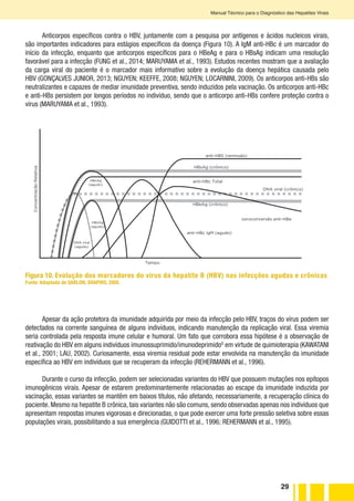 29
Manual Técnico para o Diagnóstico das Hepatites Virais
Anticorpos específicos contra o HBV, juntamente com a pesquisa por antígenos e ácidos nucleicos virais,
são importantes indicadores para estágios específicos da doença (Figura 10). A IgM anti-HBc é um marcador do
início da infecção, enquanto que anticorpos específicos para o HBeAg e para o HBsAg indicam uma resolução
favorável para a infecção (FUNG et al., 2014; MARUYAMA et al., 1993). Estudos recentes mostram que a avaliação
da carga viral do paciente é o marcador mais informativo sobre a evolução da doença hepática causada pelo
HBV (GONÇALVES JUNIOR, 2013; NGUYEN; KEEFFE, 2008; NGUYEN; LOCARNINI, 2009). Os anticorpos anti-HBs são
neutralizantes e capazes de mediar imunidade preventiva, sendo induzidos pela vacinação. Os anticorpos anti-HBc
e anti-HBs persistem por longos períodos no indivíduo, sendo que o anticorpo anti-HBs confere proteção contra o
vírus (MARUYAMA et al., 1993).
ConcentraçãoRelativa
anti-HBS (remissão)
HBsAg (crônico)
anti-HBc Total
HBeAg (crônico)
soroconversão anti-HBe
anti-HBc IgM (agudo)
DNA viral (crônico)
Tempo
HBsAg
(agudo)
HBsAg
(agudo)
DNA viral
(agudo)
Figura 10. Evolução dos marcadores do vírus da hepatite B (HBV) nas infecções agudas e crônicas
Fonte: Adaptada de SABLON; SHAPIRO, 2005.
Apesar da ação protetora da imunidade adquirida por meio da infecção pelo HBV, traços do vírus podem ser
detectados na corrente sanguínea de alguns indivíduos, indicando manutenção da replicação viral. Essa viremia
seria controlada pela resposta imune celular e humoral. Um fato que corrobora essa hipótese é a observação de
reativação do HBV em alguns indivíduos imunossuprimido/imunodeprimidoG
em virtude de quimioterapia (KAWATANI
et al., 2001; LAU, 2002). Curiosamente, essa viremia residual pode estar envolvida na manutenção da imunidade
específica ao HBV em indivíduos que se recuperam da infecção (REHERMANN et al., 1996).
Durante o curso da infecção, podem ser selecionadas variantes do HBV que possuem mutações nos epítopos
imunogênicos virais. Apesar de estarem predominantemente relacionadas ao escape da imunidade induzida por
vacinação, essas variantes se mantêm em baixos títulos, não afetando, necessariamente, a recuperação clínica do
paciente. Mesmo na hepatite B crônica, tais variantes não são comuns, sendo observadas apenas nos indivíduos que
apresentam respostas imunes vigorosas e direcionadas, o que pode exercer uma forte pressão seletiva sobre essas
populações virais, possibilitando a sua emergência (GUIDOTTI et al., 1996; REHERMANN et al., 1995).
 