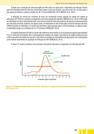 55
Manual Técnico para o Diagnóstico das Hepatites Virais
O teste para a pesquisa de anticorpos IgM anti-HEV pode ser usado para o diagnóstico da infecção recente
pelo HEV. Anticorpos IgG anti-HEV são encontrados desde o início da infecção, com pico entre 30 e 40 dias após a
fase aguda da doença, e podem persistir por até 14 anos (GONÇALES, 2013; MIRAZO et al., 2014).
A detecção da viremia em amostras de fezes por transcrição reversa seguida de reação em cadeia da
polimerase (RT-PCR) tem auxiliado no diagnóstico dos casos agudos de hepatite E (MIRAZO et al., 2014). O HEV pode
ser detectado nas fezes, aproximadamente, uma semana antes do início dos sintomas da doença e costuma persistir
por mais duas semanas, podendo, em alguns casos, ser detectado em até 52 dias após o início da infecção. No soro,
o RNA viral pode ser detectado, na maioria dos pacientes, duas semanas após o início da doença; em alguns casos,
a reatividade chega a se prolongar por 4 a 16 semanas (GONÇALES, 2013).
A suspeita diagnóstica de HEV em áreas não endêmicas deve basear-se na exclusão dos agentes das hepatites
A, B e C, além dos vírus Epstein-Barr e citomegalovírus. Histórico de viagem, procedência de regiões endêmicas para
o HEV e ocorrência de epidemias que têm como fonte de contágio os reservatórios de água devem ser interpretados
como indícios importantes de aquisição de infecção por HEV (GONÇALES, 2013).
A Figura 27 mostra a dinâmica dos principais marcadores utilizados no diagnóstico da infecção pelo HEV.
Figura 27. Dinâmica dos principais marcadores utilizados no diagnóstico da infecção pelo vírus da hepatite E
Fonte: Gonçalves, 2013.
!
Infecção pelo Vírus da Hepatite E
Curso Sorológico Típico
Semanas após Exposição
Título
Sintomas
ALT anti-HEV IgG
anti-HEV IgM
Virus nas fezes
0 1 2 3 4 5 6 7 8 9 10 11 12 13
 