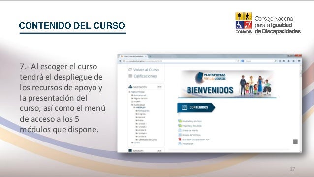 Manual De Instruciones Curso Virtual Conadis
