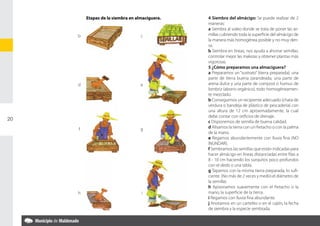 Etapas de la siembra en almaciguera.   	   4 Siembra del almácigo: Se puede realizar de 2
                                                    maneras:
                                                	   a Siembra al voleo donde se trata de poner las se-
     b                             c                millas cubriendo toda la superficie del almácigo de
                                                    la manera más homogénea posible y no muy den-
                                                    sa.
                                                	   b Siembra en líneas, nos ayuda a ahorrar semillas,
                                                    controlar mejor las malezas y obtener plantas más
                                                    vigorosas.
                                                	   5 ¿Cómo preparamos una almaciguera?
                                                	   a Preparamos un “sustrato” (tierra preparada): una
                                                    parte de tierra buena zarandeada, una parte de
     d                             e                arena dulce y una parte de compost o humus de
                                                    lombriz (abono orgánico), todo homogéneamen-
                                                    te mezclado.
                                                	   b Conseguimos un recipiente adecuado (chata de
                                                    verdura o bandeja de plástico de pescadería) con
                                                    una altura de 12 cm aproximadamente, la cual
                                                    debe contar con orificios de drenaje.
20                                              	   c Disponemos de semilla de buena calidad.
     f                             g            	   d Alisamos la tierra con un fretacho o con la palma
                                                    de la mano.
                                                	   e Regamos abundantemente con lluvia fina (NO
                                                    INUNDAR).
                                                	   f Sembramos las semillas que están indicadas para
                                                    hacer almácigo en líneas distanciadas entre filas a
                                                    8 - 10 cm haciendo los surquitos poco profundos
                                                    con el dedo o una tabla.
                                                	   g Tapamos con la misma tierra preparada, lo sufi-
                                                    ciente. (No más de 2 veces y medio el diámetro de
                                                    la semilla).
                                                	   h Apisonamos suavemente con el fretacho o la
     h                             i                mano, la superficie de la tierra.
                                                	   i Regamos con lluvia fina abundante.
                                                	   j Anotamos en un cartelito o en el cajón, la fecha
                                                    de siembra y la especie sembrada.
 