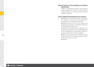 Especies donde no se hace almácigo y se siembran
          directamente.
     	    Todas las cucurbitáceas (melón, sandía, pepino,
          zapallo, zapallito, etc.) maíz, los cultivos de hoja:
          acelga y espinaca y en cultivos de raíz: remolacha,
          zanahoria, nabo, etc.

     ¿Cómo cultivamos directamente en los canteros?
     	   a Realizamos las siembras directas o trasplantes
         a las distancias entre surcos y entre plantas reco-
         mendadas en los «Calendarios Hortícolas».
     	   b Debemos hacer los surcos en los canteros que
         preparamos para plantar o trasplantar de Norte a
         Sur aprovechando mejor el Sol.
     	   c Al realizar una siembra directa mojamos el fon-
         do del surco antes de poner las semillas (para que
         estas inmediatamente de plantadas reciban hu-
         medad y la germinación sea homogénea).
     	   d Tapamos con tierra suelta no más de 2 veces y
24
         media el diámetro de la semilla, apretando suave-
         mente los surcos con la mano.
     	   e Regamos.
 
