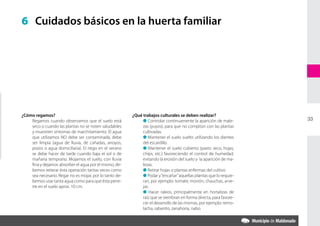 6 Cuidados básicos en la huerta familiar




¿Cómo regamos?                                           ¿Qué trabajos culturales se deben realizar?
    Regamos cuando observamos que el suelo está               l Controlar continuamente la aparición de male-       33
    seco o cuando las plantas no se noten saludables          zas (yuyos), para que no compitan con las plantas
    y muestren síntomas de marchitamiento. El agua            cultivadas.
    que utilizamos NO debe ser contaminada, debe              l Mantener el suelo suelto utilizando los dientes
    ser limpia (agua de lluvia, de cañadas, arroyos,          del escardillo.
    pozos o agua domiciliaria). El riego en el verano         l Mantener el suelo cubierto (pasto seco, hojas,
    se debe hacer de tarde cuando baja el sol o de            chips, etc.) favoreciendo el control de humedad,
    mañana temprano. Mojamos el suelo, con lluvia             evitando la erosión del suelo y la aparición de ma-
    fina y dejamos absorber el agua por el mismo, de-         lezas.
    bemos reiterar ésta operación tantas veces como           l Retirar hojas o plantas enfermas del cultivo.
    sea necesario. Regar no es mojar, por lo tanto de-        l Podar y “encañar” aquellas plantas que lo requie-
    bemos usar tanta agua como para que ésta pene-            ran, por ejemplo: tomate, morrón, chauchas, arve-
    tre en el suelo aprox. 10 cm.                             jas.
                                                              l Hacer raleos, principalmente en hortalizas de
                                                              raíz que se siembran en forma directa, para favore-
                                                              cer el desarrollo de las mismas, por ejemplo: remo-
                                                              lacha, rabanito, zanahoria, nabo.
 