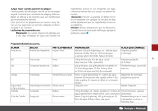 3 ¿Qué hacer cuando aparecen las plagas?                             ingredientes activos en un recipiente con tapa.
Usamos productos de origen natural, ya sea de origen                 Utilizamos hierbas frescas o secas y no deben fer-
vegetal o mineral que controlarán las plagas y enferme-              mentar.
dades sin afectar a los insectos que son beneficiosos                 Decocción (Hervir) Las plantas se deben hervir
para nuestra Huerta Familiar.                                        en un recipiente con tapa por 10 minutos. Se deja
Estos productos los preparamos en nuestra casa y tie-                enfriar tapada para que los ingredientes activos no
nen un muy bajo costo y si son bien utilizados, inofensi-            se volatilicen.
vos para el ser humano                                               Infusión Misma preparación que la decocción.
Las formas de prepararlos son:                                       Cuando hierve el agua quitar del fuego, agregar el
      Maceración Es cuando dejamos las plantas uno                   producto y tapar. n
      o dos días remojadas en agua para extraer los


Preparados botánicos caseros.
PLANTA                EFECTO                    PARTE A PREPARAR          PREPARACIÓN                                             PLAGA QUE CONTROLA
Anacahuita            Insecticida. Repelente    Hoja y Frutos             Macerar 100 g de hojas secas en 1 litro de agua         Pulgones, piojillos
                                                                          durante 10 días. Diluir en 10 litros de agua            y hormigas.
                                                                          y agregar jabón derretido. Aplicar de tarde.
Ají                   Insecticida               Fruto                     100 g de fruto por litro de agua. Licuar,               Pulgones, pulguilla           41
                                                                          dejar macerar 1 día y pulverizar.                       de la Papa.
Ajo                   Fungicida. Bactericida    Bulbos                    500 g de ajos y 500 g de cebollas macerado en           Previene hongos y controla
                                                                          10 litros de agua por 10 días. Colar y diluir           insectos.
                                                                          en 5 litros de agua por litro de preparado.
Ajenjo                Insecticida               Plantas frescas y secas   Hervir 1 kg de planta seca en 10 litros de agua         Repelente de hormigas,
                                                                          durante 20 minutos en olla tapada, enfriar 1 día,       pulgones y gusanos.
                                                                          colar y aplicar. En verano sin diluir, en primavera
                                                                          diluido.
Capuchina             Insectífugo en infusión Planta fresca               100g por Litro                                          Repele Pulgones
o Taco de reina
Cebolla               Fungicida                 Bulbos                    100 g de bulbos de cebolla picados en 10 litros de      Previene hongos y ácaros
                                                                          agua, apenas hervir. Dejar enfriar colar y usar puro.   (arañuelas).
Cola de Caballo       Fungicida                 Planta entera             Hervir 1 Kg de la planta y 150 g de ortiga en 10        Previene hongos en el suelo
                                                                          litros de agua. Enfriar, colar y usar puro.             y las plantas, controla la
                                                                                                                                  Arañuela Roja
 