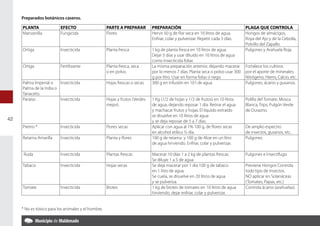 Preparados botánicos caseros.

     PLANTA               EFECTO                     PARTE A PREPARAR         PREPARACIÓN                                         PLAGA QUE CONTROLA
     Manzanilla           Fungicida                  Flores                   Hervir 50 g de flor seca en 10 litros de agua.      Hongos de almácigos,
                                                                              Enfriar, colar y pulverizar. Repetir cada 3 días.   Roya del Ajo y de la Cebolla,
                                                                                                                                  Polvillo del Zapallo.
     Ortiga               Insecticida                Planta fresca            1 kg de planta fresca en 10 litros de agua.         Pulgones y Arañuela Roja.
                                                                              Dejar 3 días y usar diluido en 10 litros de agua
                                                                              como Insecticida foliar.
     Ortiga               Fertilizante               Planta fresca, seca      La misma preparación anterior, dejando macerar      Fortalece los cultivos
                                                     o en polvo.              por lo menos 7 días. Planta seca o polvo usar 300   por el aporte de minerales:
                                                                              g por litro. Usar en forma foliar o riego.          Nitrógeno, Hierro, Calcio, etc.
     Palma Imperial o    Insecticida                 Hojas frescas o secas.   300 g en infusión en 10 l de agua                   Pulgones, ácaros y gusanos.
     Palma de la India o
     Tanaceto.
     Paraíso             Insecticida                 Hojas y frutos (Verdes   1 Kg (1/2 de hojas y 1/2 de frutos) en 10 litros    Polilla del Tomate, Mosca
                                                     mejor).                  de agua, dejando reposar 1 día. Retirar el agua     Blanca, Trips, Pulgón Verde
                                                                              y machacar frutos y hojas. El líquido extraído      de Durazno.
                                                                              se disuelve en 10 litros de agua
42                                                                            y se deja reposar de 5 a 7 días.
     Piretro *            Insecticida                Flores secas             Aplicar con agua al 1% 100 g, de flores secas       De amplio espectro
                                                                              en alcohol etílico ½ día.                           de insectos, gusanos, etc..
     Retama Amarilla      Insecticida                Planta y flores          100 g de retama y 100 g de Aloe en un litro         Pulgones
                                                                              de agua hirviendo. Enfriar, colar y pulverizar.

      Ruda                Insecticida                Plantas frescas          Macerar 10 días 1 a 2 kg de plantas frescas.        Pulgones e Insectífugo
                                                                              Se diluye 1 a 5 de agua
     Tabaco               Insecticida                Hojas secas              Se deja macerar por 1 día 100 g de tabaco           Previene Hongos Controla
                                                                              en 1 litro de agua.                                 todo tipo de Insec­ os.
                                                                                                                                                     t
                                                                              Se cuela, se disuelve en 20 litros de agua          NO aplicar en Solanáceas
                                                                              y se pulveriza.                                     (Tomates, Papas, etc.)
     Tomate               Insecticida                Brotes                   1 kg de brotes de tomates en 10 litros de agua      Controla ácaros (arañuelas).
                                                                              hirviendo, dejar enfriar, colar y pulverizar.


     * No es tóxico para los animales y el hombre.
 